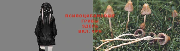 молекула духа Лихославль