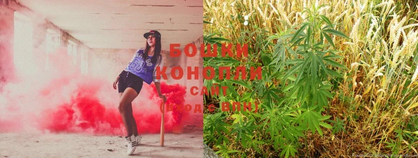 молекула духа Лихославль
