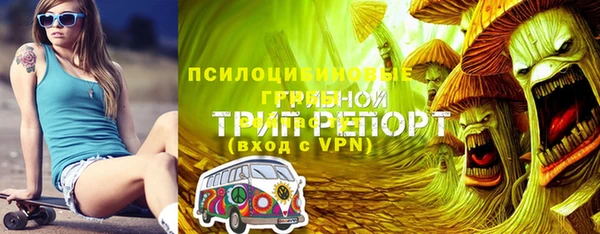 молекула духа Лихославль