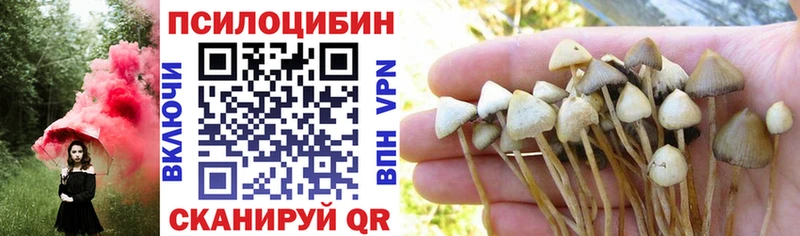 купить наркоту  Нея  Псилоцибиновые грибы Magic Shrooms 